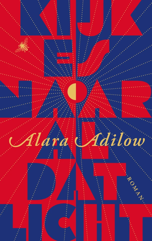 Kijk es naar al dat licht – Alara Adilow – boek cover