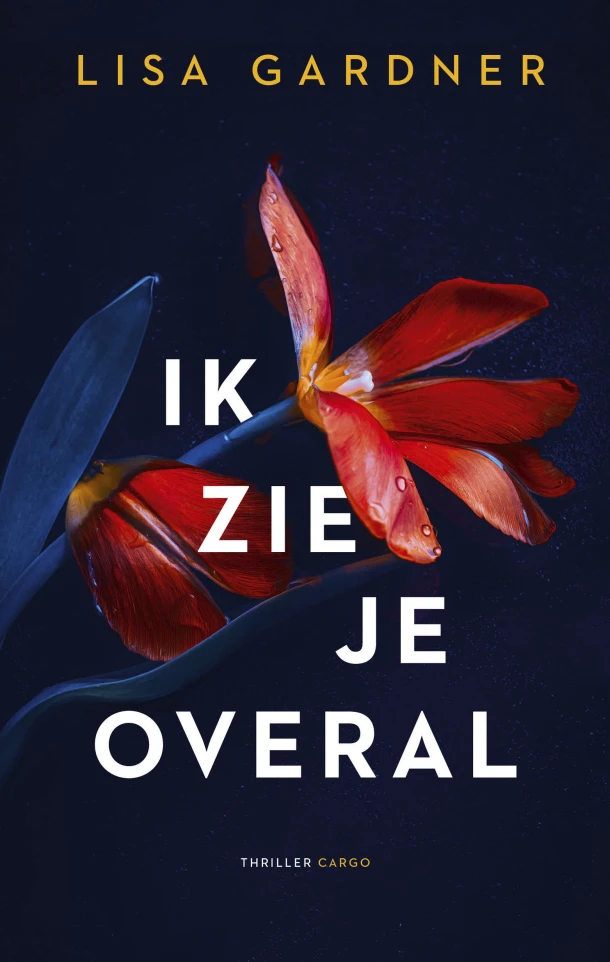 Ik zie je overal – Lisa Gardner – boek cover