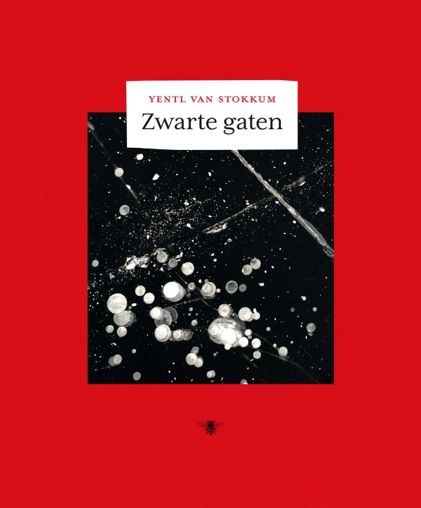 Zwarte gaten – Yentl van Stokkum – boek cover