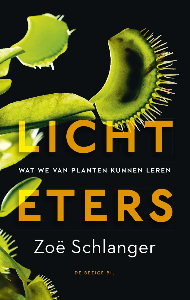 Lichteters – Zoë Schlanger – boek cover