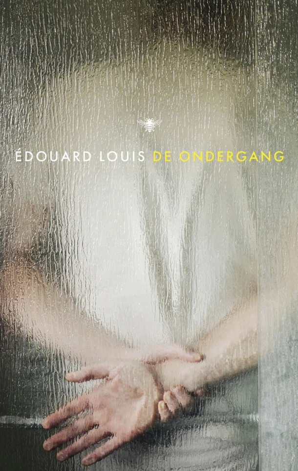 De ondergang – boek cover