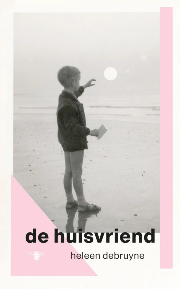 De huisvriend – Heleen Debruyne – boek cover
