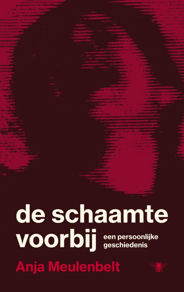 De schaamte voorbij – Anja Meulenbelt – boek cover