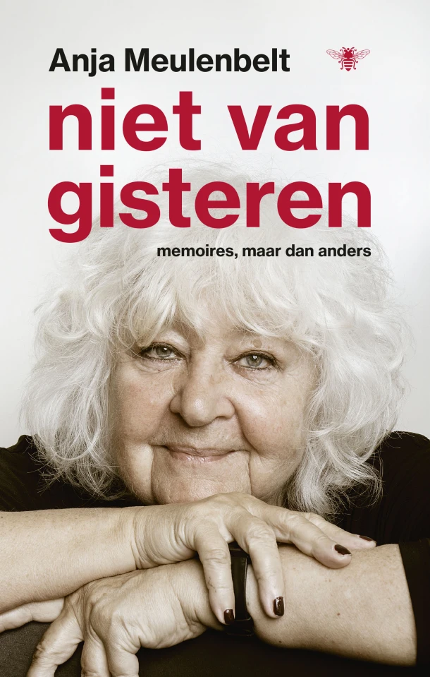 Niet van gisteren – Anja Meulenbelt – boek cover
