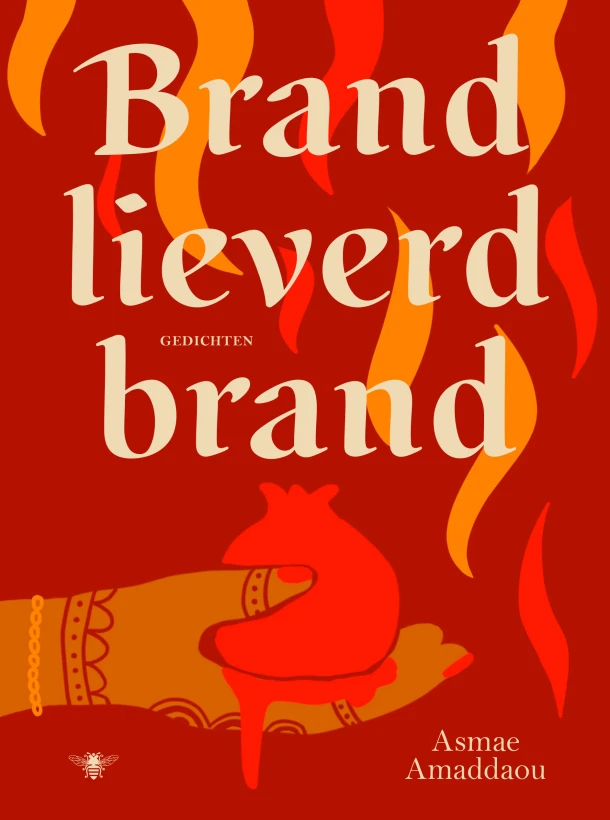 Brand lieverd brand – Asmae Amaddaou – boek cover