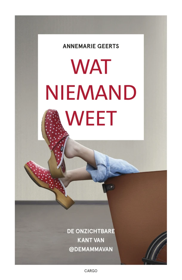 Wat niemand weet – Annemarie Geerts – boek cover