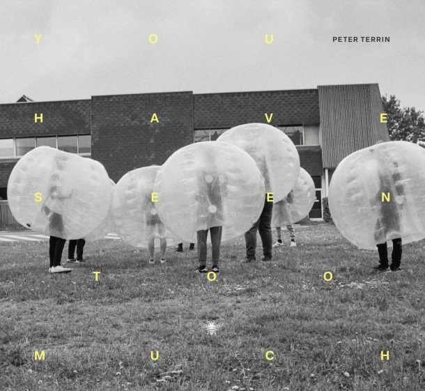You have seen too much – Peter Terrin – boek cover