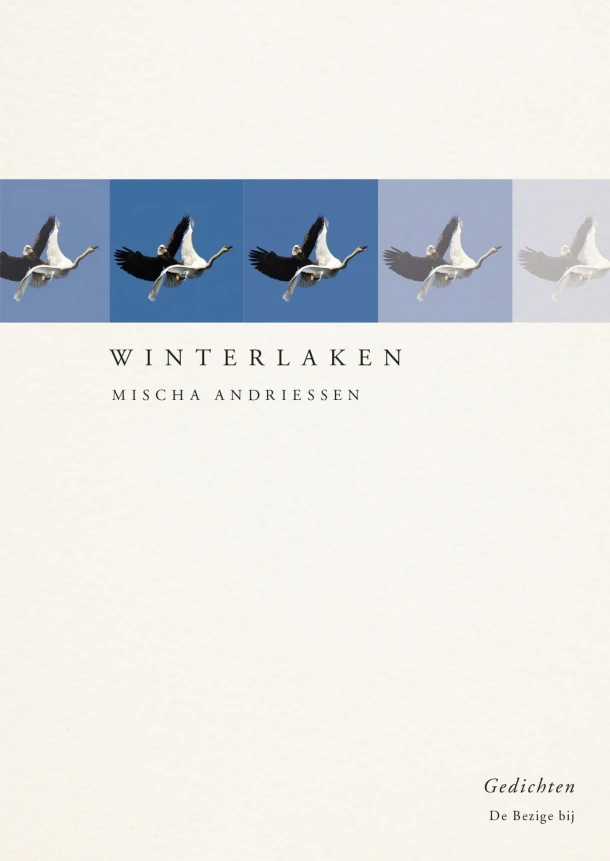 Winterlaken – Mischa Andriessen – boek cover