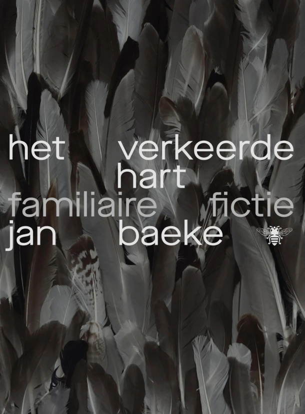 Het verkeerde hart – Jan Baeke – boek cover
