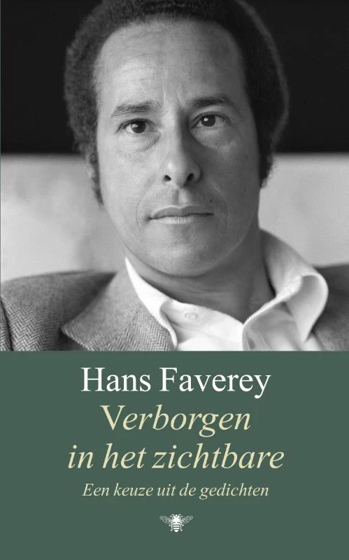 Verborgen in het onzichtbare – Hans Faverey – boek cover