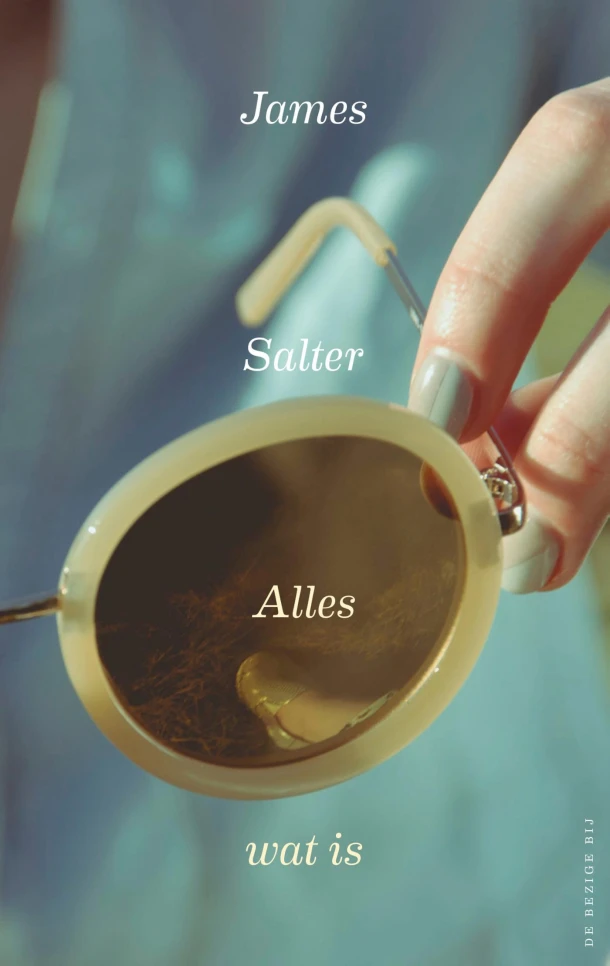Alles wat is – James Salter – boek cover