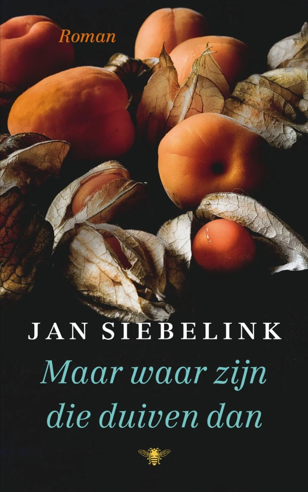 Maar waar zijn die duiven dan – Jan Siebelink – boek cover