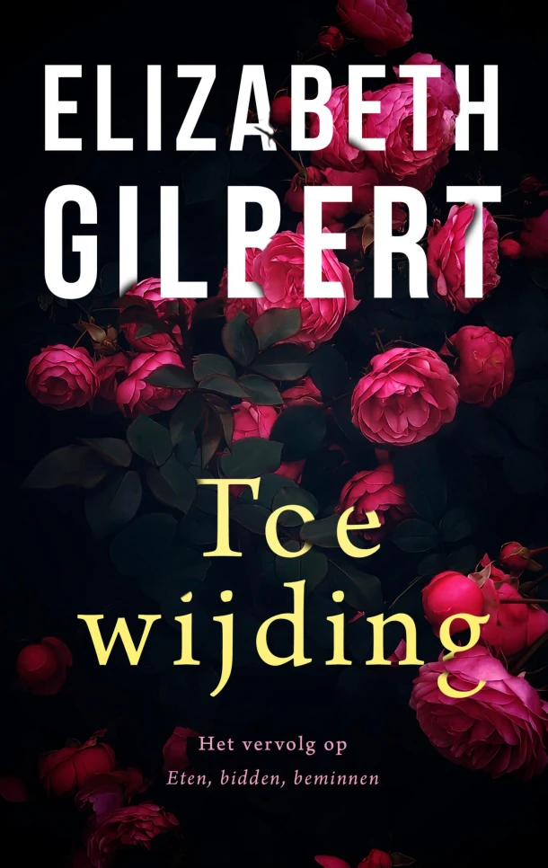 Toewijding – Elizabeth Gilbert – boek cover