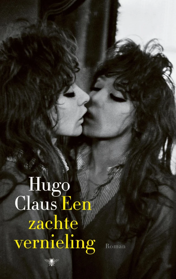Een zachte vernieling – Hugo Claus – boek cover