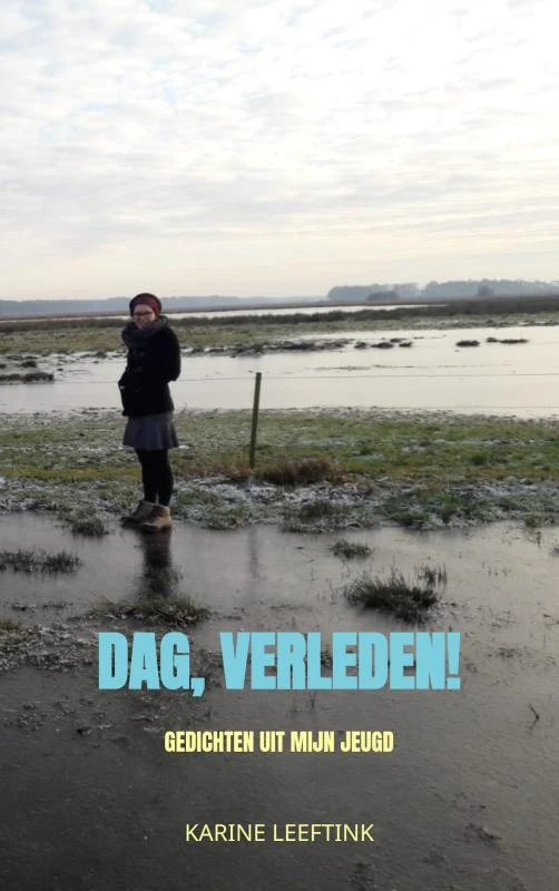Dag, verleden! – N.K. Leeftink – boek cover