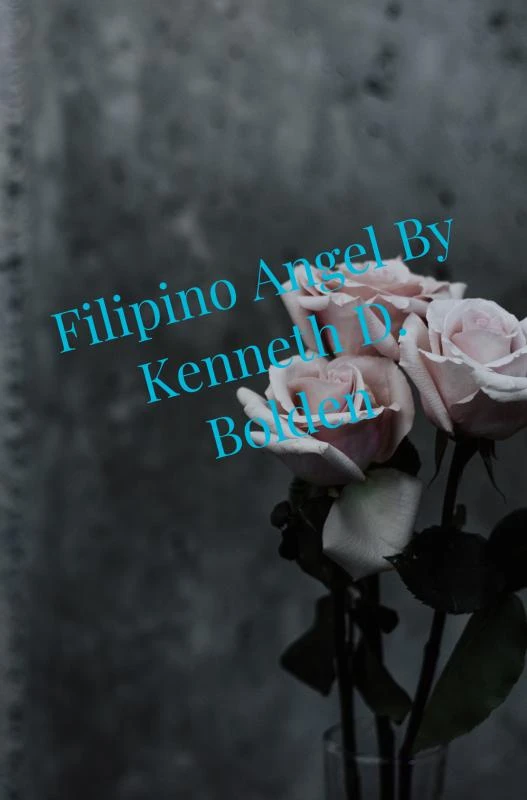 Filipino Angel By Kenneth D. Bolden – Kenneth D. Bolden – boek cover