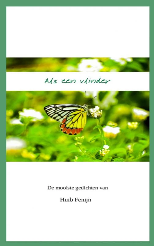 Als een vlinder – Huib Fenijn – boek cover