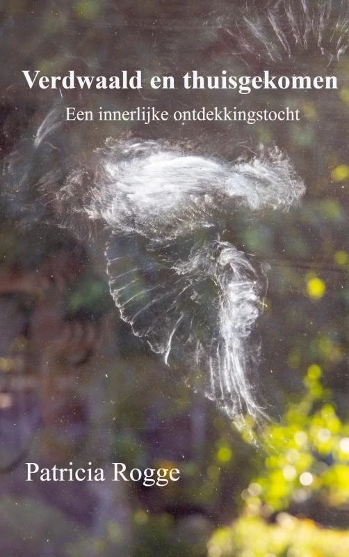 Verdwaald en thuisgekomen – Rogge Patricia – boek cover