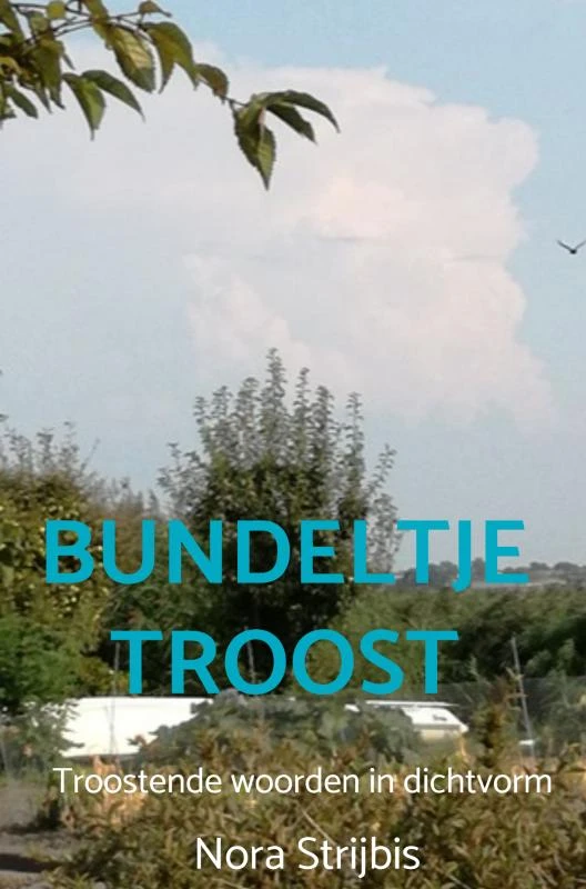 Bundeltje troost – Nora Strijbis – boek cover