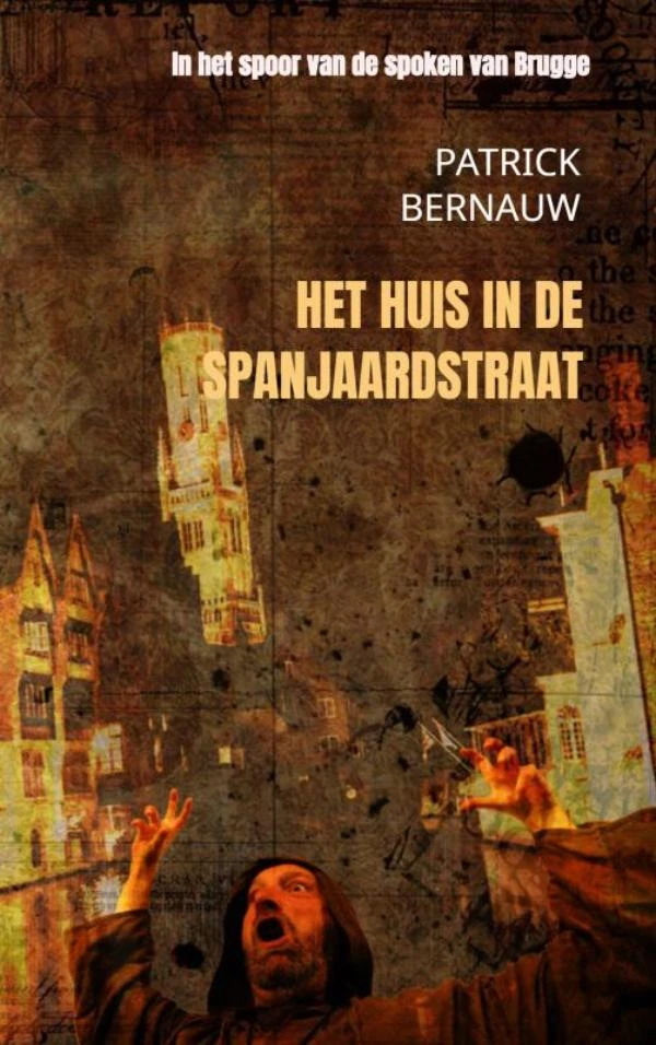 Het huis in de Spanjaardstraat ā Patrick Bernauw ā boek cover