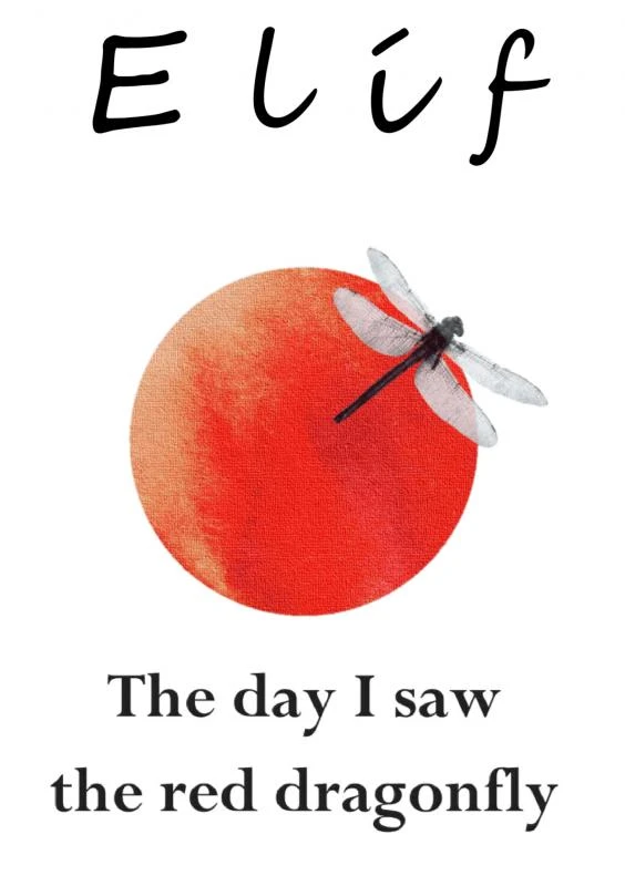 The day I saw the red dragonfly – Elíf C – boek cover