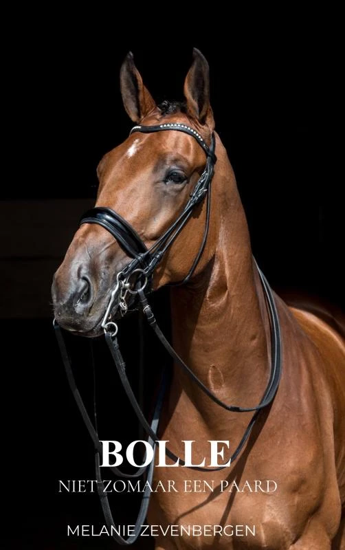 Bolle – Melanie Zevenbergen – boek cover