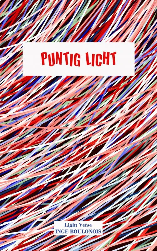 Puntig licht – Inge Boulonois – boek cover