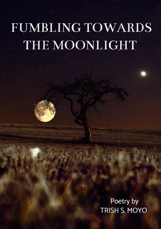 Fumbling towards the moonlight – Trish Moyo – boek cover