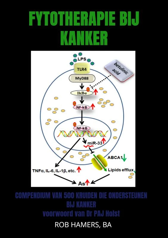 Fytotherapie bij Kanker – Rob Hamers, BA – boek cover