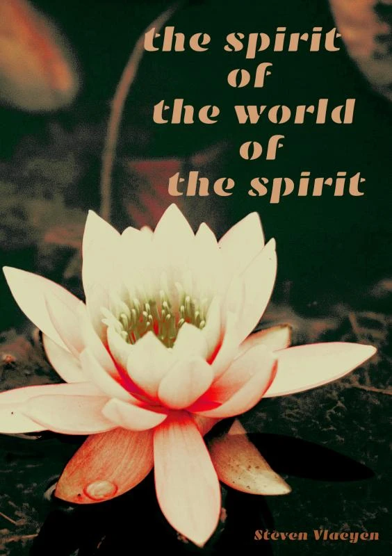 the spirit of the world of the spirit – Steven Vlaeyen – boek cover
