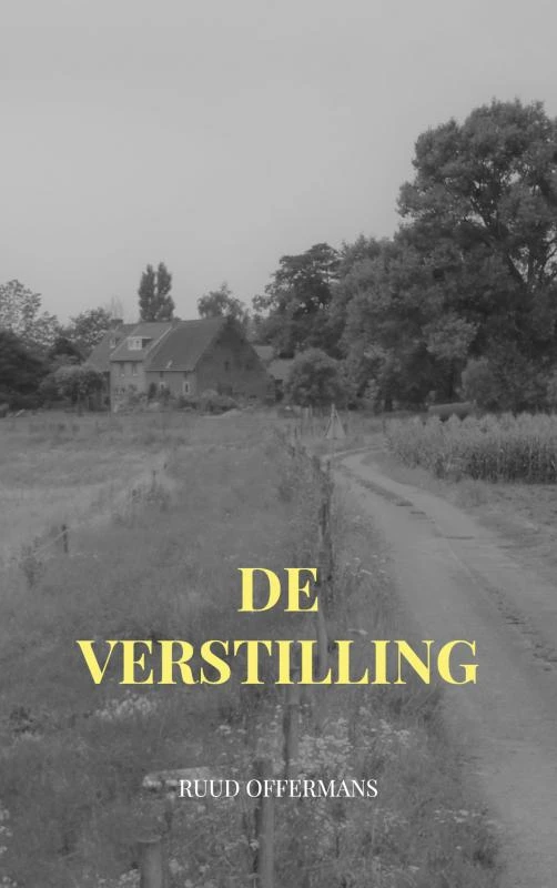 De verstilling – Ruud Offermans – boek cover