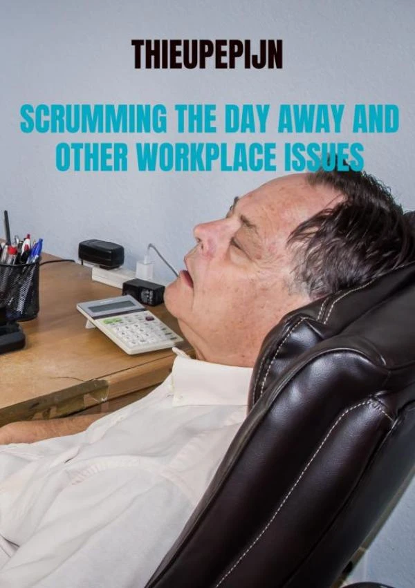 SCRUMMING THE DAY AWAY AND OTHER WORKPLACE ISSUES – Matthieu Van Sluijs – boek cover