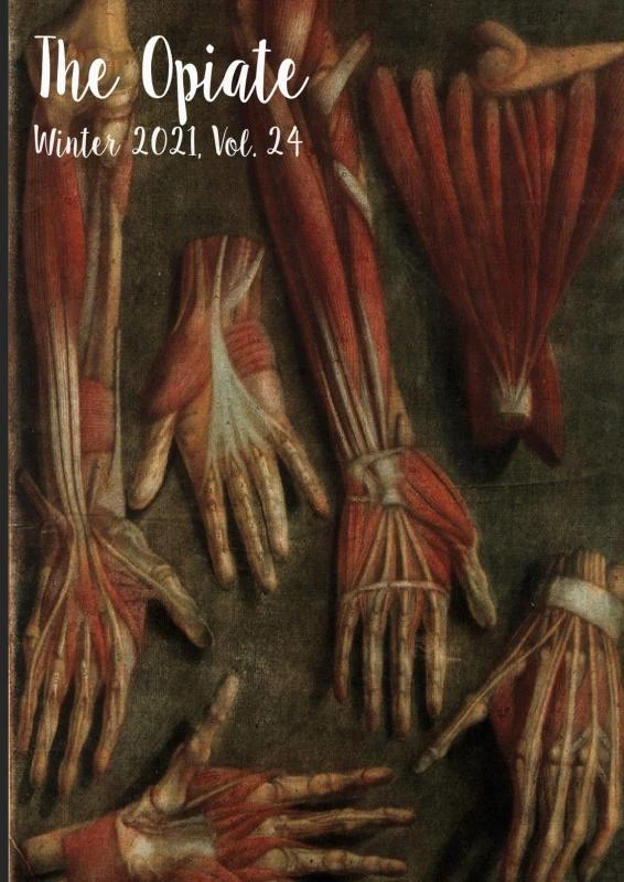 The Opiate: Winter 2021, Vol. 24 – The Opiate – boek cover