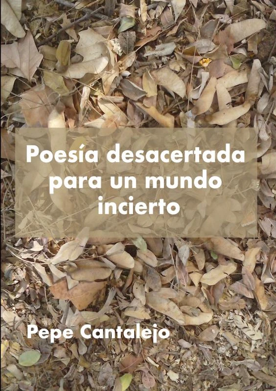 Poesía desacertada para un mundo incierto – Pepe Cantalejo – boek cover