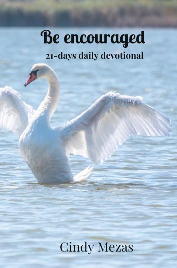 Be encouraged – Cindy Mezas – boek cover