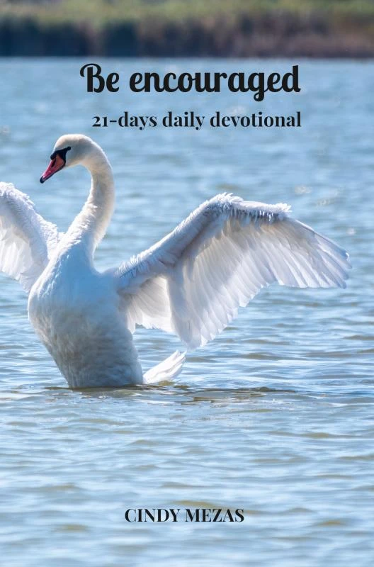 Be encouraged – Cindy Mezas – boek cover