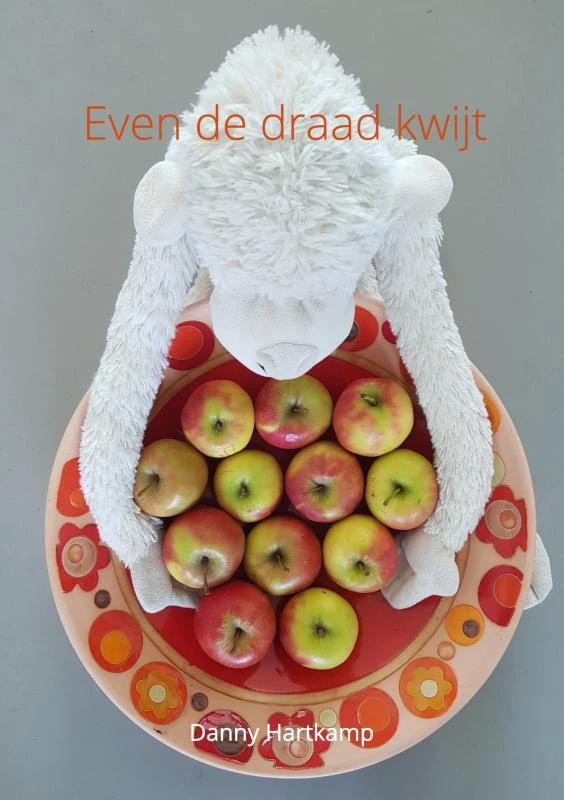 Even de draad kwijt – Danny Hartkamp – boek cover