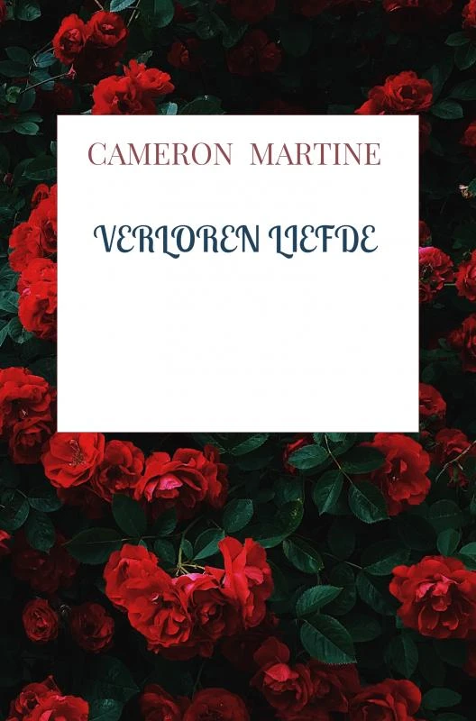 Verloren liefde – Cameron Martine – boek cover