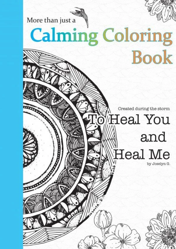 To Heal You and Heal Me – Joselyn Gamboa – boek cover