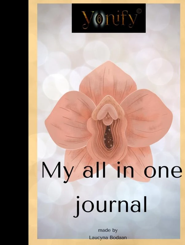 My all in one journal – Laucyna Bodaan – boek cover