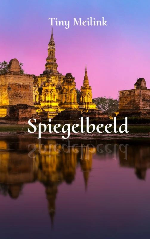 Spiegelbeeld – Tiny Meilink – boek cover