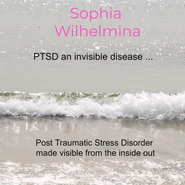 PTSD an invisible disease ... – Sophia Wilhelmina – boek cover