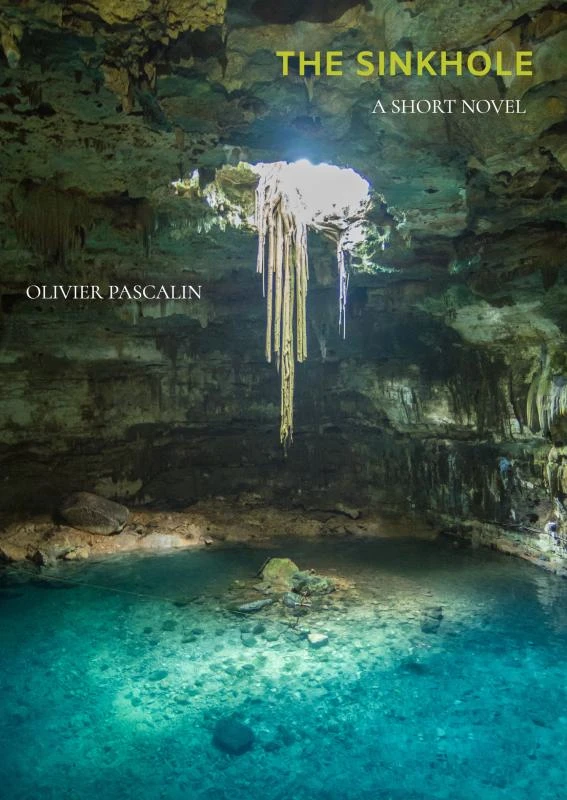 The Sinkhole – Olivier Pascalin – boek cover