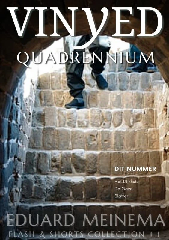 Vinyed 1 - Quadrennium – Eduard Meinema – boek cover