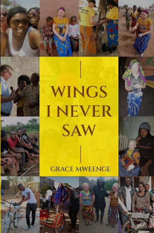 Wings I never saw – Grace Mweenge – boek cover