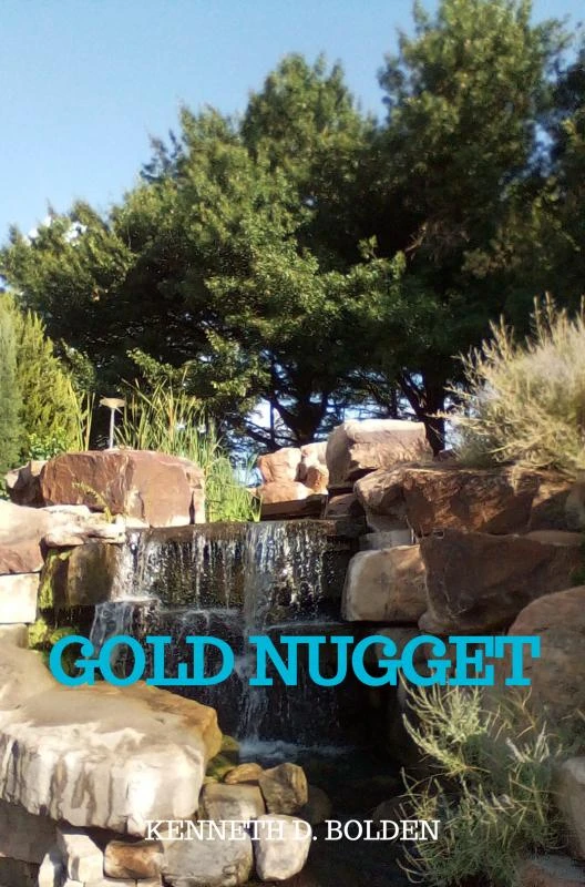 Gold Nugget – Kenneth D. Bolden – boek cover