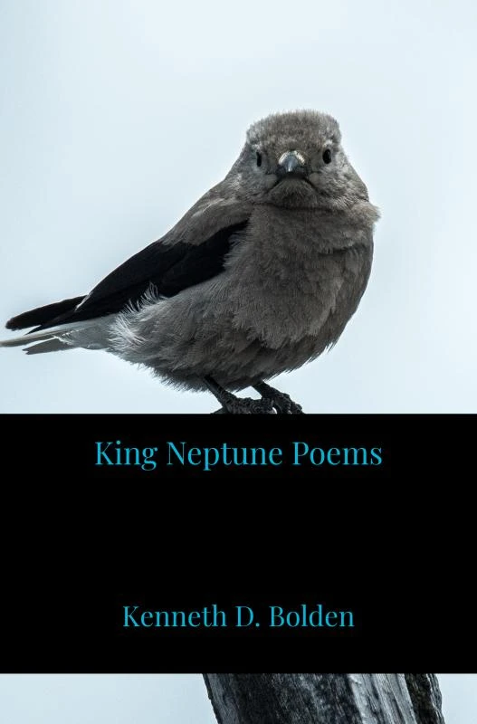 King Neptune Poems – Kenneth D. Bolden – boek cover