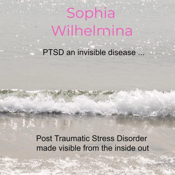 PTSD an invisible disease ... – Sophia Wilhelmina – boek cover