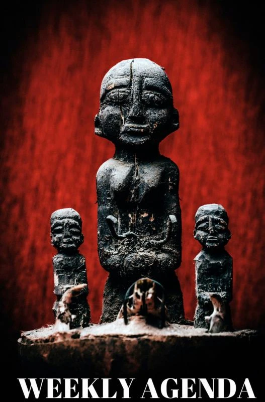 Vodun Agenda – Laucyna Bodaan – boek cover