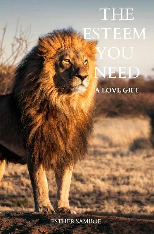 The esteem you need ā Esther Samboe ā boek cover